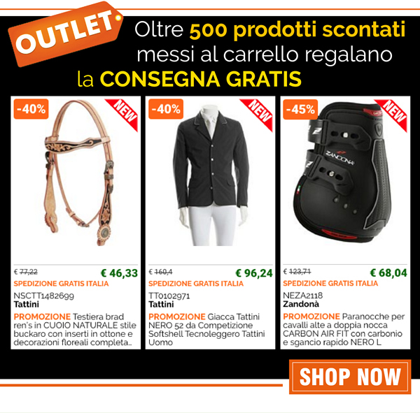 Oltre 500 prodotti scontati messi al carrello regalano la CONSEGNA GRATIS