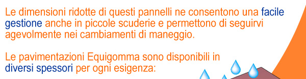 Le dimensioni ridotte di questi pannelli ne consentono una facile gestione anche in piccole scuderie e permettono di seguirvi agevolmente nei cambiamenti di maneggio. Le pavimentazioni Equigomma sono disponibili in diversi spessori per ogni esigenza.