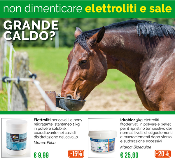 Grande caldo? Non dimenticare elettroliti e sale