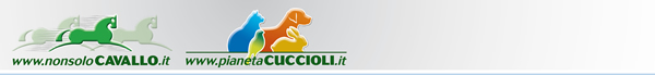 NonsoloCavallo - Pianeta Cuccioli