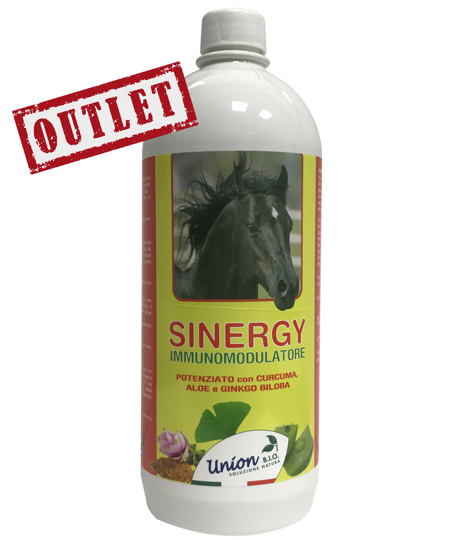 sinergy