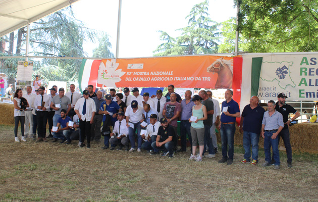 82° mostra nazionale del cavallo TPR