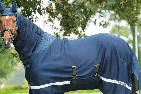 Proteggi i cavalli dagli insetti anche con le coperte a rete