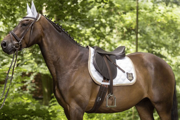 Collezione Golden Gate HKM