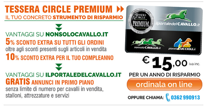 Tessera Circle Premium