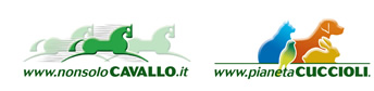 NonsoloCavallo - Pianeta cuccioli