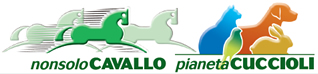 NonsoloCavallo - Pianeta Cuccioli