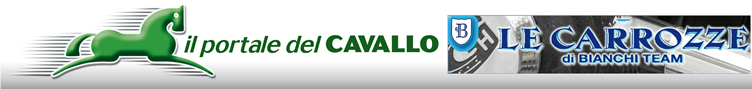 Il Portale del Cavallo - Le carrozze di Bianchi Team