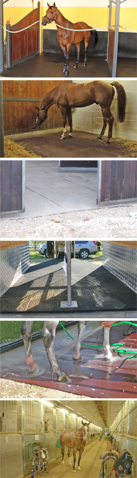 esempi di applicazione