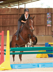 ATTREZZATURE CAMPO OSTACOLI E DRESSAGE