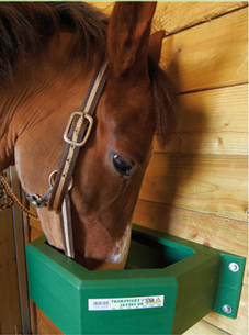 ABBEVERATOI E MANGIATOIE DA BOX