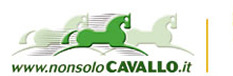NonsoloCavallo