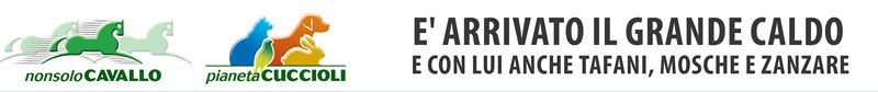 È arrivato il grande caldo e con lui anche tafani, mosche e zanzare