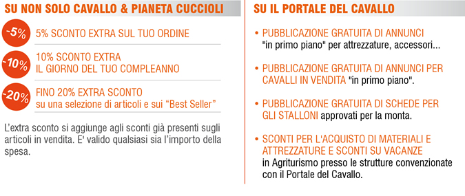 € 15,00 per un anno di risparmio