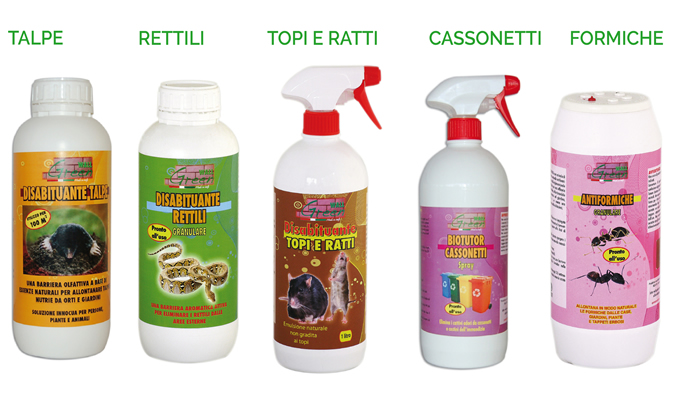 talpe, rettili, topi e ratti, cassonetti, formiche