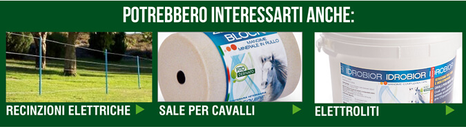 POTREBBERO INTERESSARTI ANCHE...