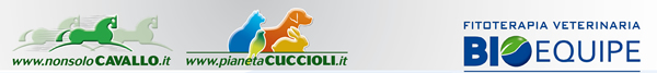 NonsoloCavallo - Pianeta Cuccioli - Bioequipe
