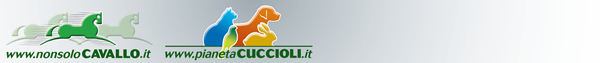NonsoloCavallo - Pianeta Cuccioli