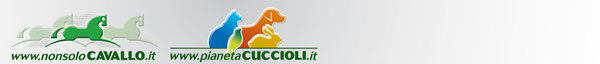 NonsoloCavallo - Pianeta Cuccioli