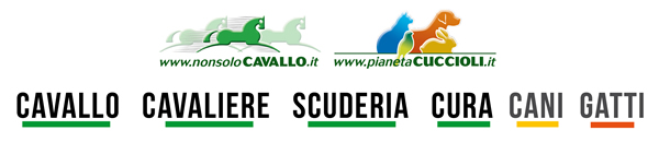 NonsoloCavallo - Pianeta Cuccioli