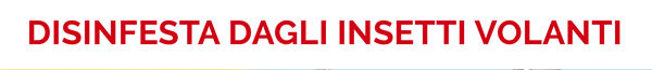 Disinfesta dagli insetti volanti
