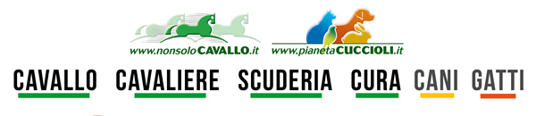 NonsoloCavallo - Pianeta Cuccioli