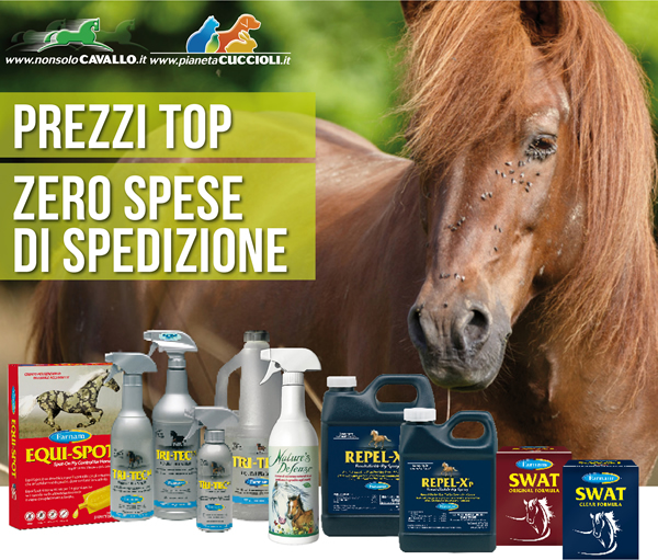 PREZZI TOP - ZERO SPESE DI SPEDIZIONE
