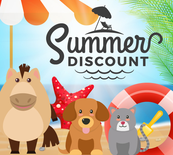 Summer Discount