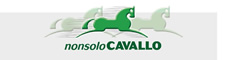 NonsoloCavallo