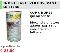 Promo e-shop