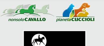 I LOVE PIKEUR | Scopri la nostra selezione... e i nostri sconti