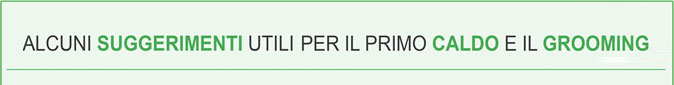 ALCUNI SUGGERIMENTI UTILI PER IL PRIMO CALDO E IL GROOMING