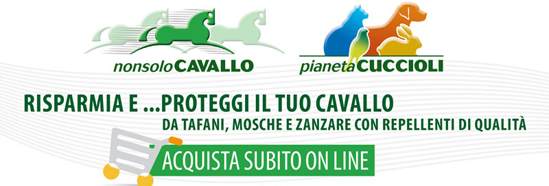 NonsoloCavallo - Pianeta Cuccioli
