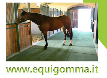 Equigomma