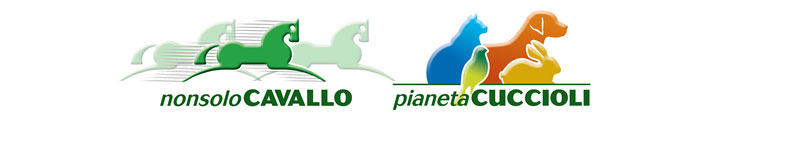 NonsoloCavallo - Pianeta Cuccioli