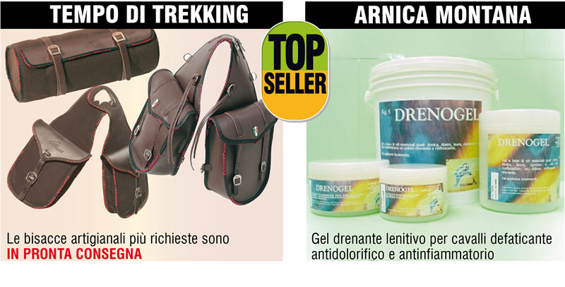 TEMPO DI TREKKING - ARNICA MONTANA