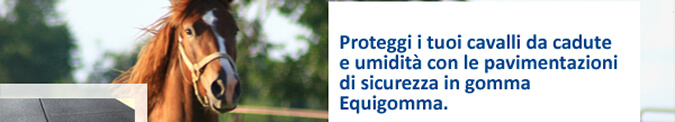 Proteggi i tuoi cavalli da cadute e umidità con le pavimentazioni di sicurezza in gomma Equigomma