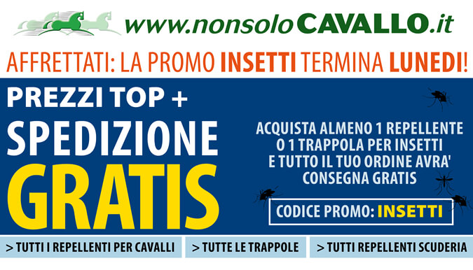 NonsoloCavallo - Pianeta Cuccioli