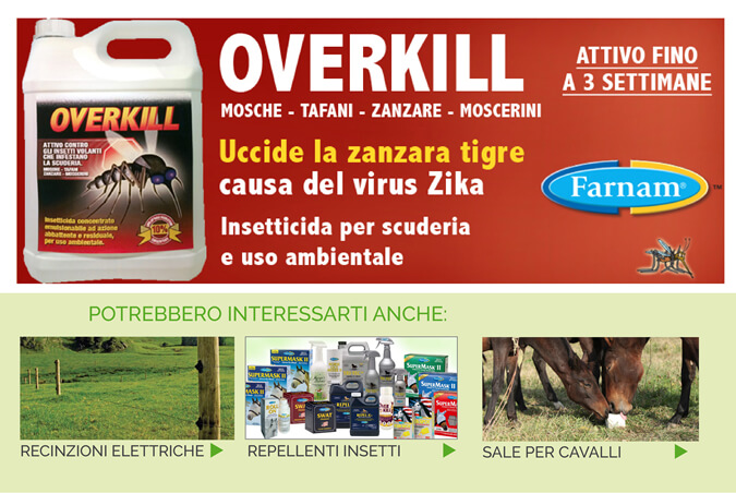 Potrebbero interessarti anche...