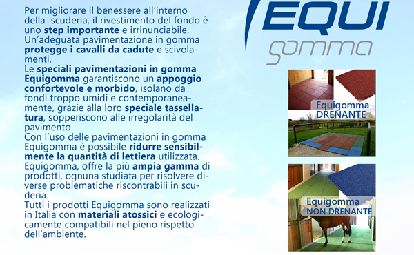 Per migliorare il benessere all'interno della scuderia, il rivestimento del fondo è uno step imporftante e irrinunciabile