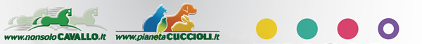 NonsoloCavallo - Pianeta Cuccioli