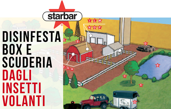 Disinfesta box e scuderia dagli insetti volanti con Starbar