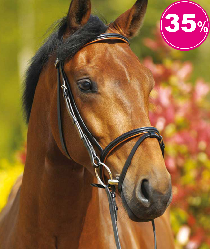 Briglia inglese stubben