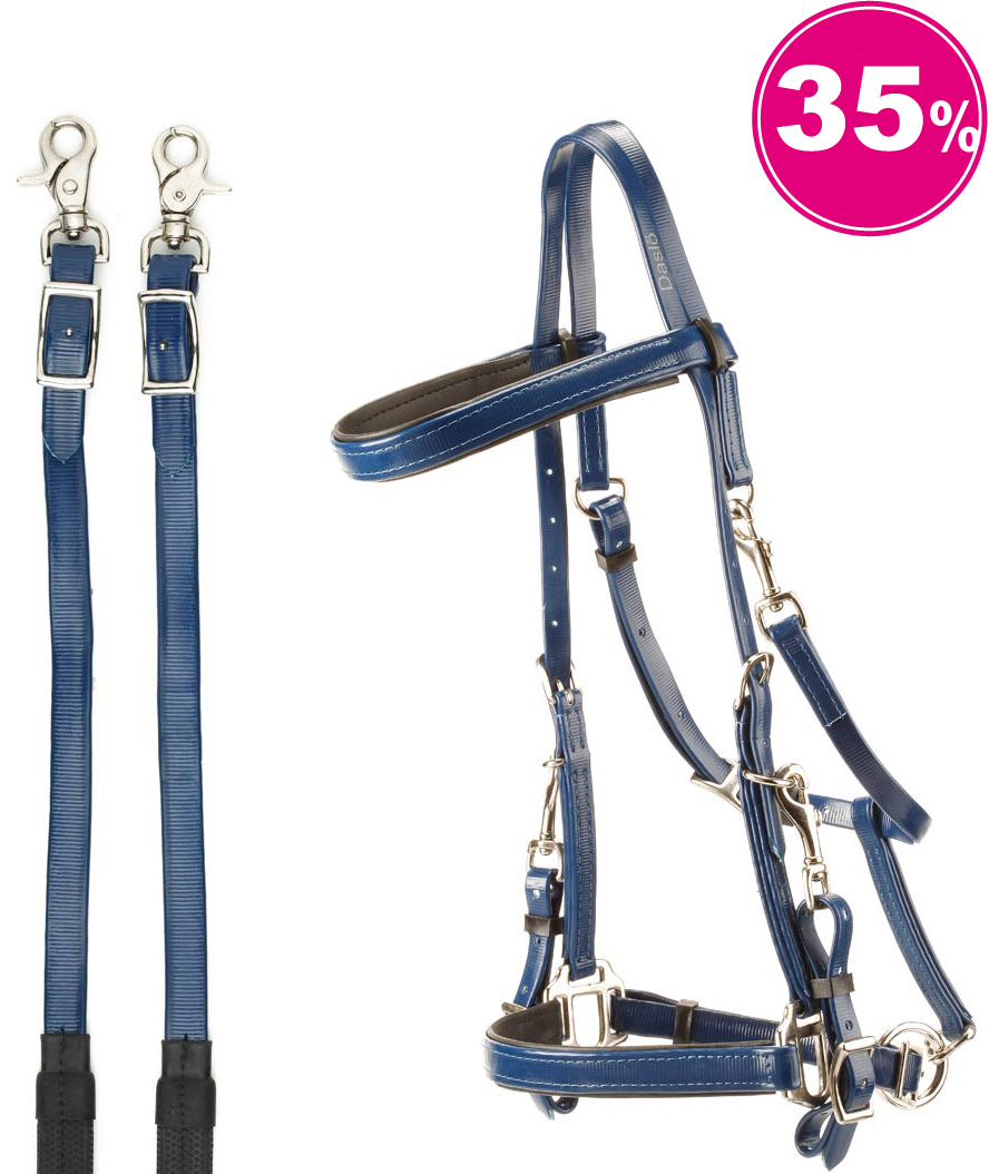 Briglia da endurance