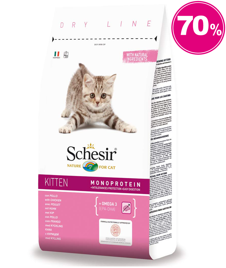 Schesir dry kitten gatti