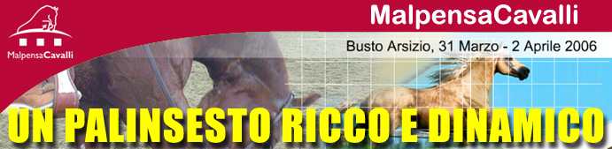 MalpensaCavalli