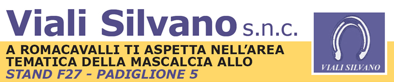 Viali Silvano s.n.c.