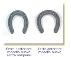 la nostra produzione