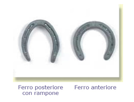 la nostra produzione