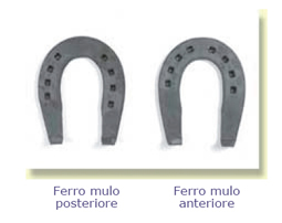 la nostra produzione